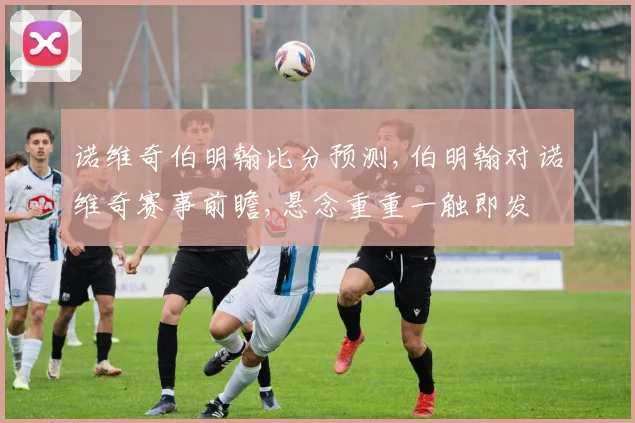 诺维奇伯明翰比分预测,伯明翰对诺维奇赛事前瞻,悬念重重一触即发
