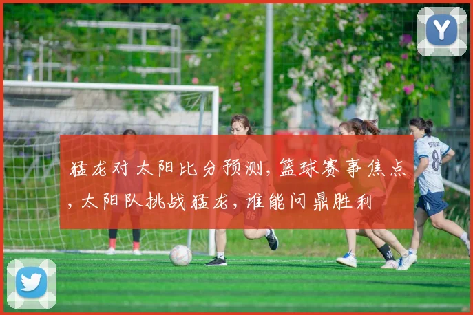 猛龙对太阳比分预测,篮球赛事焦点,太阳队挑战猛龙,谁能问鼎胜利